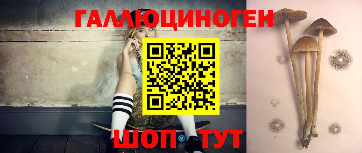 Галлюциногенные грибы Magic Shrooms  как найти наркотики  Симферополь 